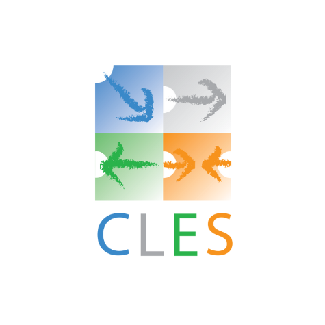 Logo CLES 2000