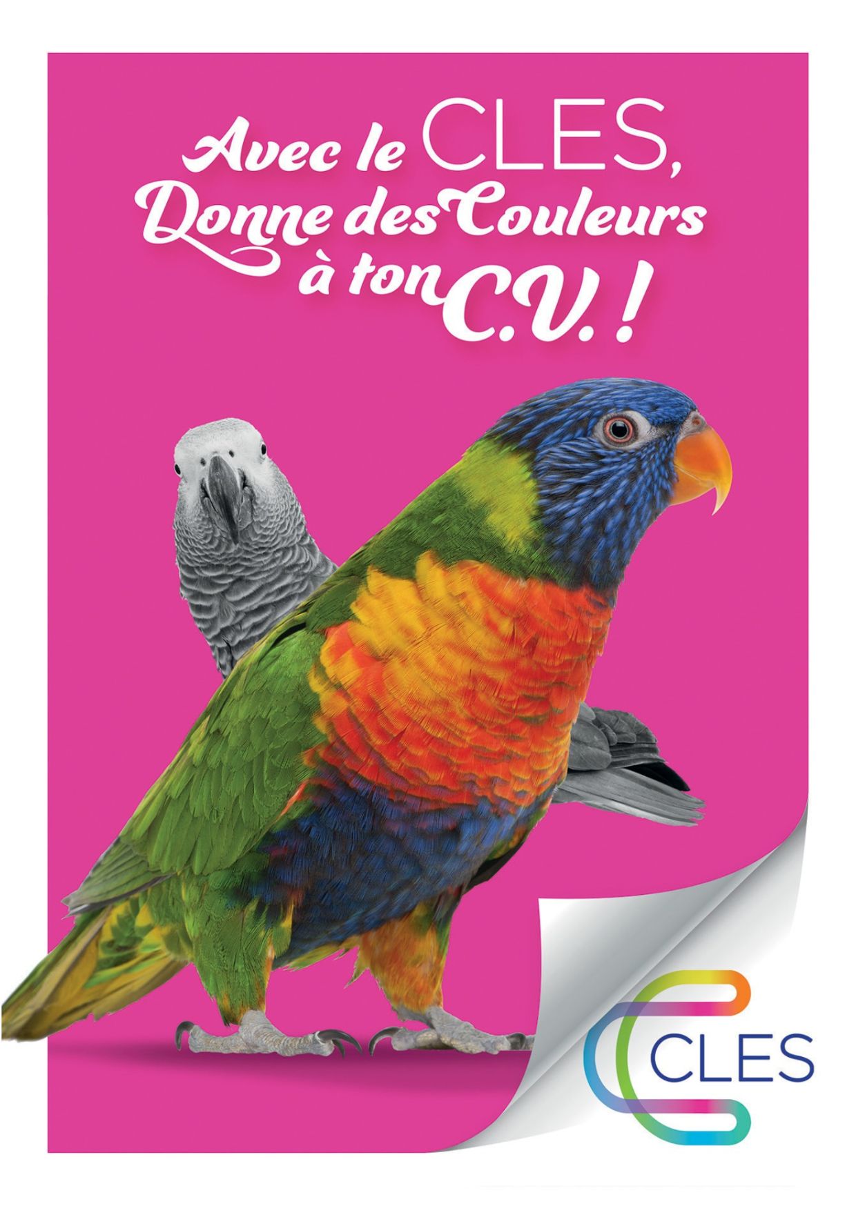 donne des couleurs à ton CV